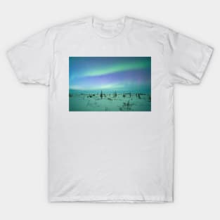 Frozen Arctic Auroras T-Shirt